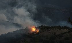 GÜNCELLEME 2 - Bursa-Balıkesir sınırında çıkan orman yangınına müdahale ediliyor