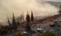 Karamürsel’de soğutma çalışmaları devam ediyor