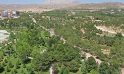 Konya Dutlu Millet Bahçesi’nde ateşli piknik yasaklandı