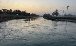 Şanlıurfa'da sulama kanalına giren kişi kayboldu