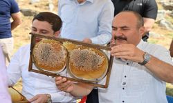 Vali Canalp Sason Cobet Yaylası'nda İlk Bal Hasadına Katıldı