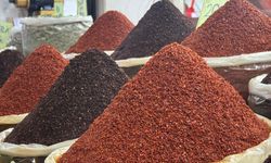 Türkiye'nin pul biber ihracatı yılın ilk yarısında yüzde 3,89 arttı