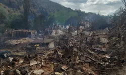 Yangın bölgelerinde hasar tespitler başladı... İşte ilk tespitler