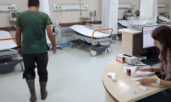Bursa'da veteriner hekim sokak köpeği tarafından ısırıldı!
