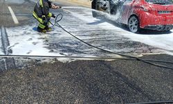 Diyarbakır'da otomobilde çıkan yangını itfaiye ekipleri söndürdü