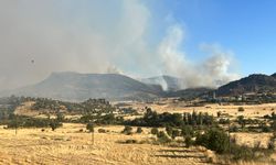 Diyarbakır'ın iki ilçesinde ormanlık alanda çıkan yangınlara müdahale ediliyor