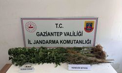 Gaziantep'te uyuşturucu operasyonunda yakalanan 5 zanlı tutuklandı
