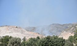 GÜNCELLEME - Şırnak'ta orman ve örtü yangını kontrol altına alındı