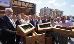İstanbul'dan çiftçilere 5 yılda 70 milyon fide desteği