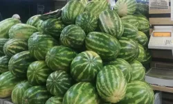 Karpuzda üretici-market farkı yüzde 613,8... Üreticide 1,18, markette 8,42 TL!