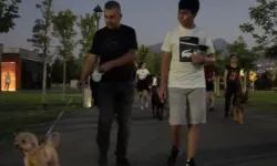 Kayseri Büyükşehir'in köpek parkuruna tam not