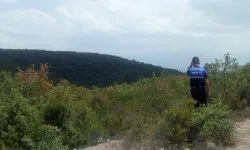 Kocaeli zabıtası, yangınlara karşı denetimleri artırdı