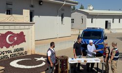 Mardin'de 2 hırsızlık şüphelisi tutuklandı