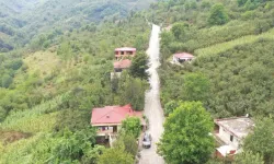 Ordu Büyükşehir'den beton yol çalışması