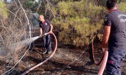 Şanlıurfa'da otluk alanda çıkan yangın söndürüldü