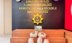 Şanlıurfa'da uyuşturucu operasyonunda yakalanan zanlı tutuklandı