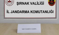 Şırnak'ta kaçakçılık ve asayiş operasyonlarında 32 kişi hakkında işlem yapıldı