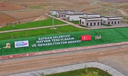 Batman Hayvan Barınağı Sokak Hayvanlarına Umut Oldu