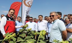Batman'da 'Tarla Günü Etkinliği' Düzenlendi
