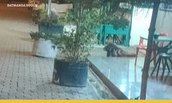 Engelli’lere Engel Olmak Yerine Destek Olalım