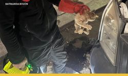İtfaiyecilerimizden Her Canlıya Şefkatli Yardım