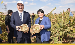 Gercüş Sizi Üzümün ve Lezzetin Şölenine Davet Ediyor