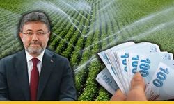 Çiftçinin Hesabına Tarımsal Destek Ödemesi Yapıldı
