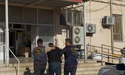 Mardin'de Firari Hükümlü Yakalandı