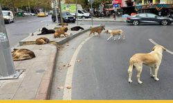 İstanbul Çekmeköy Belediyesinden Dalga Geçer Gibi Paylaşım