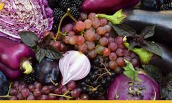 Osman Müftüoğlu'ndan Alzaymır'a Karşı Mor Besin Tavsiyesi