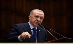 Su Krizine Erdoğan'dan Müdahale
