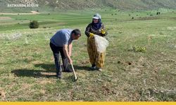 Tatvan'da ne yetişir?