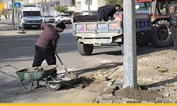 Batman Tılmerc Mahallesi'nde Onarım Seferberliği
