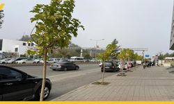 Batman Turgut Özal Bulvarı'ndaki Yeni Kavşaklara Yeşil Dokunuş