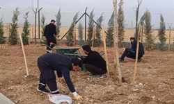 Batman’da 2 Bin Metrekarelik Atık İstasyonu Çevresi Artık Daha Yeşil