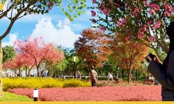 Batman'da Türkiye'nin En Büyük Parkı Yükseliyor