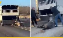 Batman Yollarında Şok Eden Görüntü