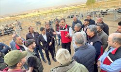 Batman'da Kesimhane ve Hayvan Pazarı Denetlendi