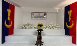 Diyarbakır Narkotik Ekiplerinden Büyük Başarı