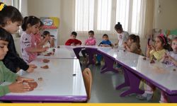 Minik Ellerden Diyarbakır'a Tohum Topu Katkısı