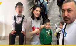 Almanya'dan Tatile Gelen Böcek Ailesinin Sonunu Fosfin Mi Getirdi?