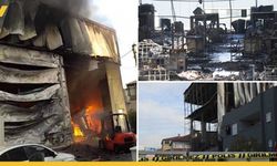 Kocaeli'de Yürek Yakan Yangının Nedeni Belli Oldu