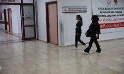 Mardinli Gülcan, Kadavradan Nakil İle Hayata Tutundu