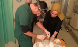 Prematüre Bebeklerin Göz Sağlığı Artık Siirt'te