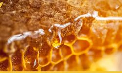 Pervari Balı İyi Midir?