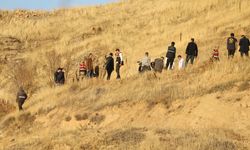 Siirt'te Haber Alınamayan 83 Yaşındaki Alzheimer Hastasının Cesedi Bulundu