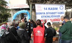 Siirt'te İlk Diyabet Kampında Çocuklar Eğlenerek Öğreniyor