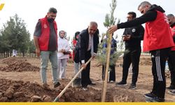 Batman Gençliği Milli Ağaçlandırma Günü'nde Geleceğe Nefes Olmak İçin Fidan Dikti