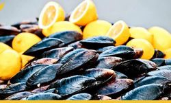 Midye Neden Mekruhtur?