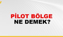 Pilot Bölge Ne Demek?